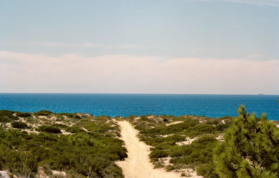 The ocean is your endless blue garden