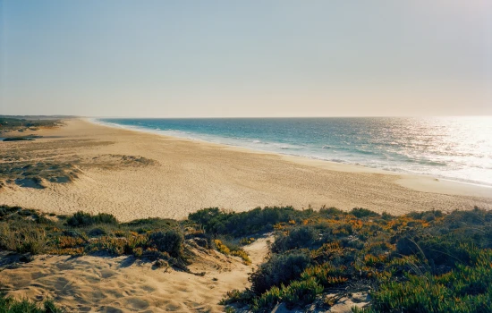 Untouched Dunes sanctuary